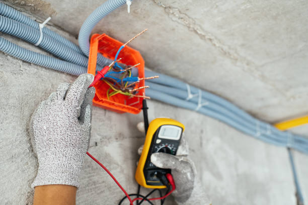 Best Generator Installation Services  in Wonder Lake, IL